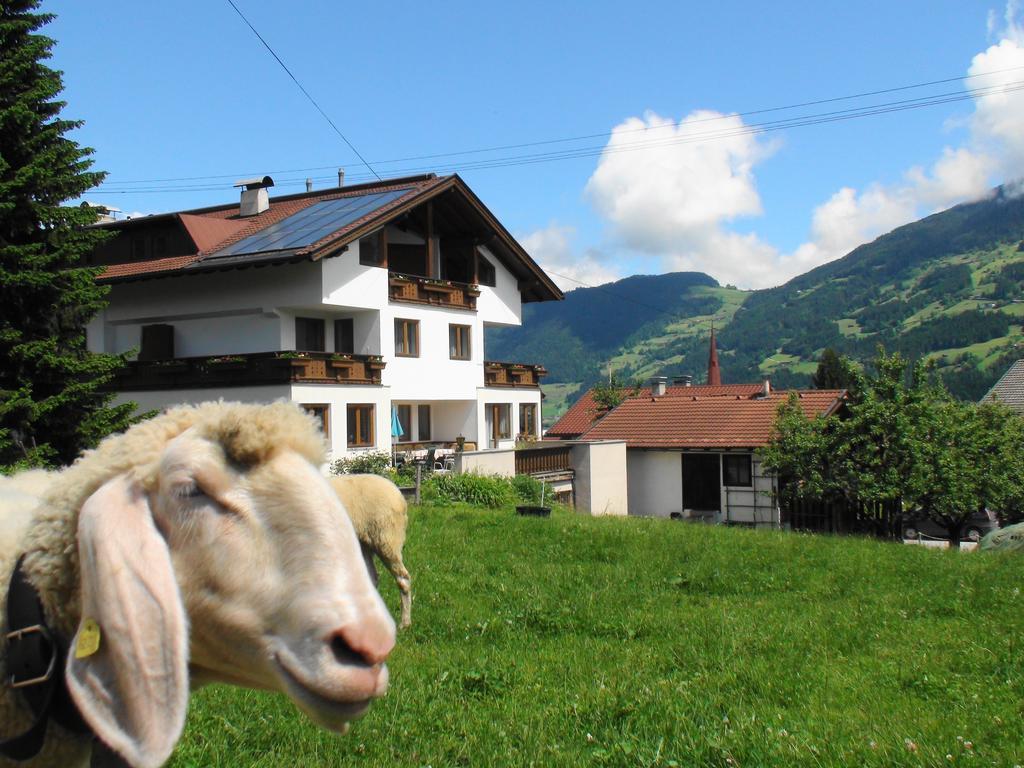 Hotel Gastehaus Treichl Fügen Zewnętrze zdjęcie
